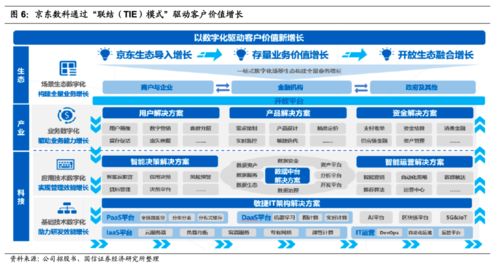解碼京東數(shù)科 從金融服務向數(shù)字科技網絡技術服務的轉型